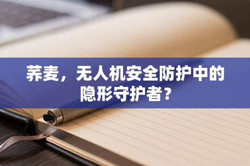 荞麦，无人机安全防护中的隐形守护者？