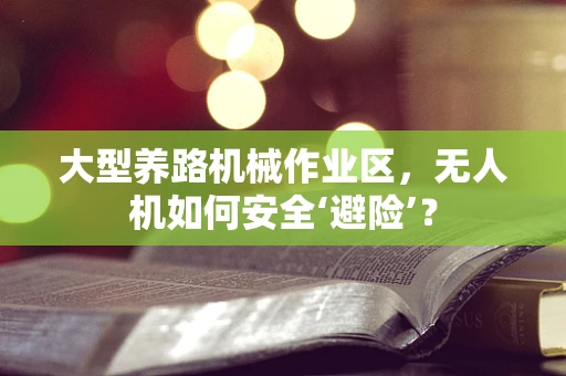 大型养路机械作业区，无人机如何安全‘避险’？