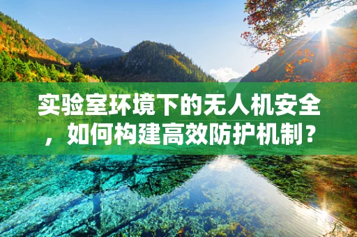 实验室环境下的无人机安全，如何构建高效防护机制？