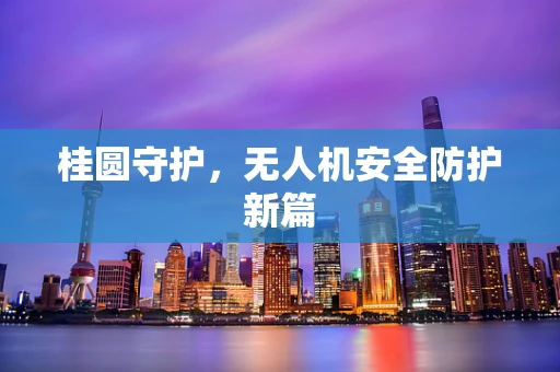 桂圆守护，无人机安全防护新篇