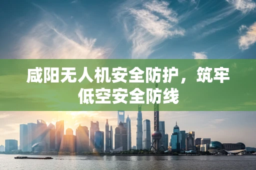 咸阳无人机安全防护，筑牢低空安全防线