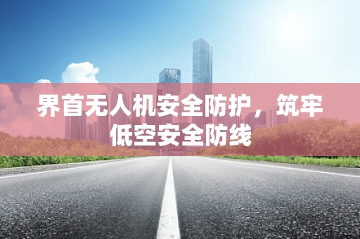 界首无人机安全防护，筑牢低空安全防线