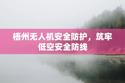 梧州无人机安全防护，筑牢低空安全防线