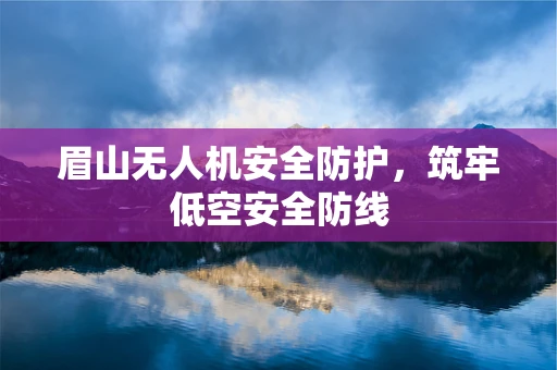 眉山无人机安全防护，筑牢低空安全防线