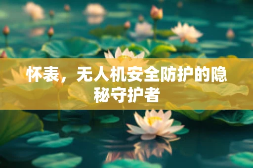 怀表，无人机安全防护的隐秘守护者