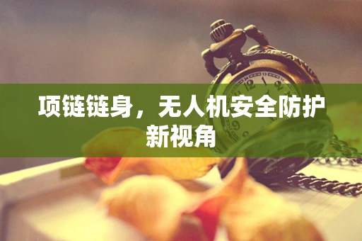 项链链身，无人机安全防护新视角