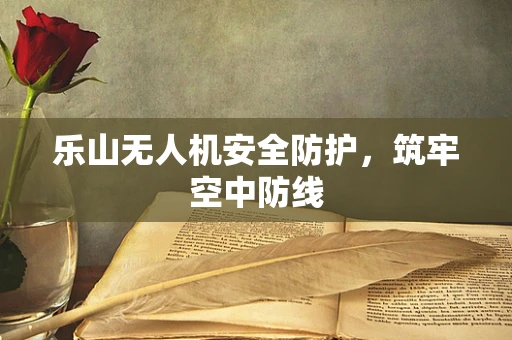 乐山无人机安全防护，筑牢空中防线
