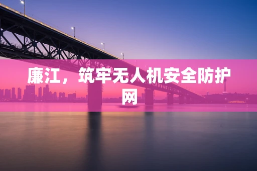 廉江，筑牢无人机安全防护网