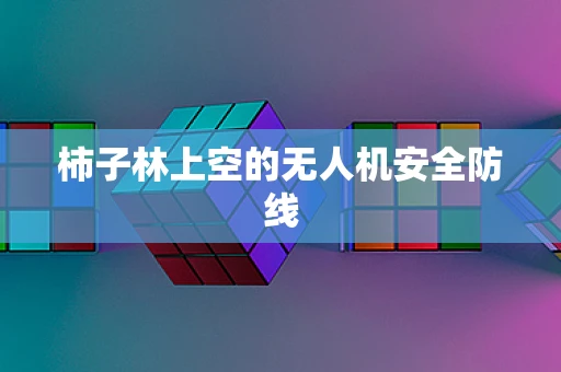 柿子林上空的无人机安全防线