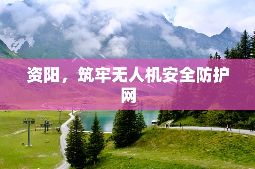 资阳，筑牢无人机安全防护网
