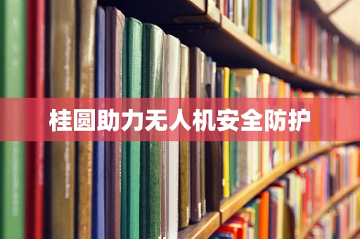 桂圆助力无人机安全防护