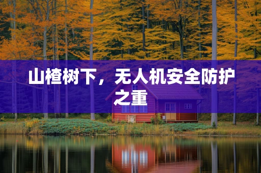 山楂树下，无人机安全防护之重