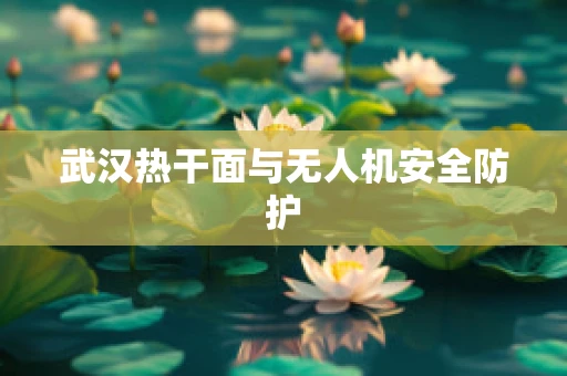 武汉热干面与无人机安全防护