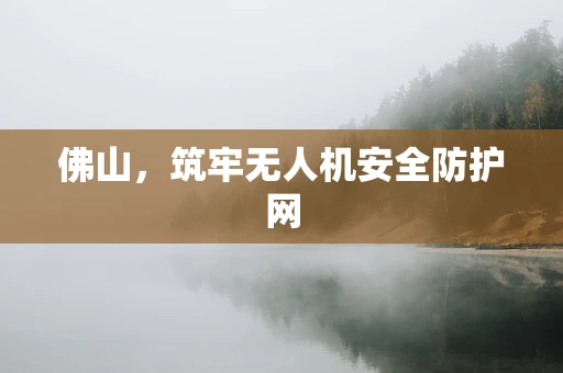 佛山，筑牢无人机安全防护网