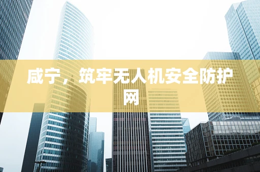 咸宁，筑牢无人机安全防护网