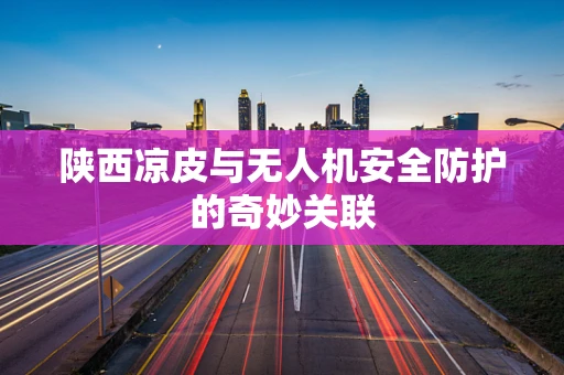 陕西凉皮与无人机安全防护的奇妙关联