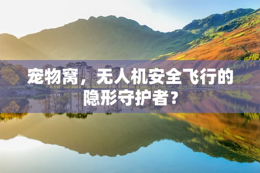 宠物窝，无人机安全飞行的隐形守护者？