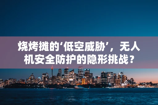 烧烤摊的‘低空威胁’，无人机安全防护的隐形挑战？