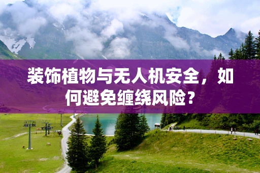 装饰植物与无人机安全，如何避免缠绕风险？