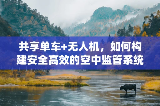 共享单车+无人机，如何构建安全高效的空中监管系统？