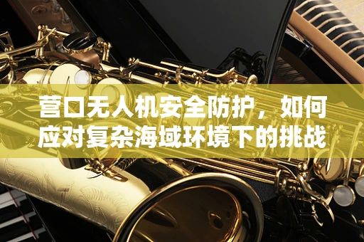 营口无人机安全防护，如何应对复杂海域环境下的挑战？