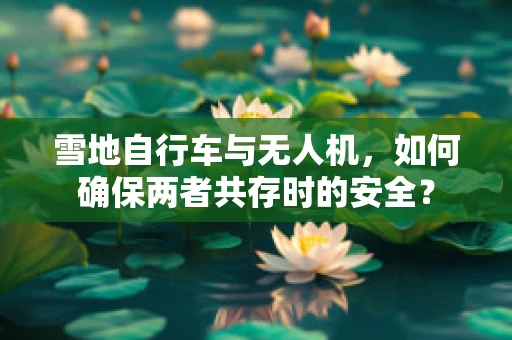 雪地自行车与无人机，如何确保两者共存时的安全？