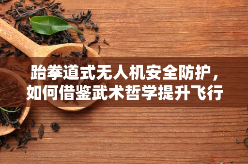 跆拳道式无人机安全防护，如何借鉴武术哲学提升飞行安全？
