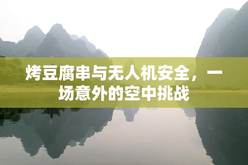 烤豆腐串与无人机安全，一场意外的空中挑战