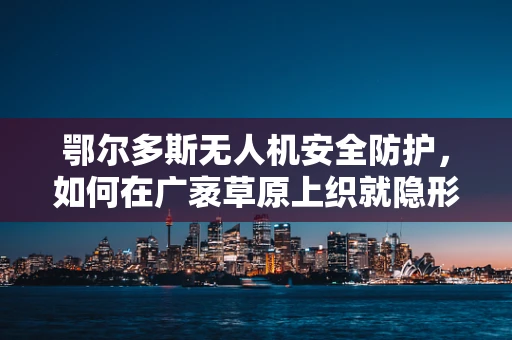 鄂尔多斯无人机安全防护，如何在广袤草原上织就隐形防护网？