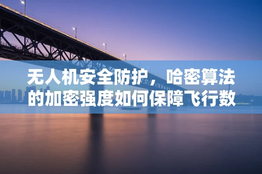 无人机安全防护，哈密算法的加密强度如何保障飞行数据安全？