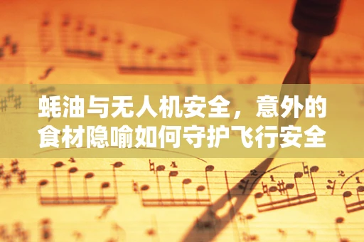 蚝油与无人机安全，意外的食材隐喻如何守护飞行安全？