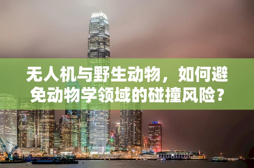 无人机与野生动物，如何避免动物学领域的碰撞风险？