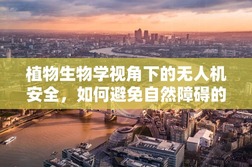 植物生物学视角下的无人机安全，如何避免自然障碍的干扰？