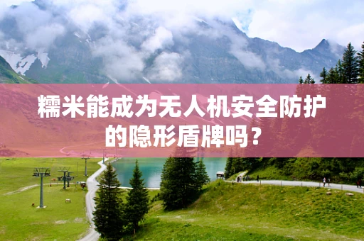 糯米能成为无人机安全防护的隐形盾牌吗？