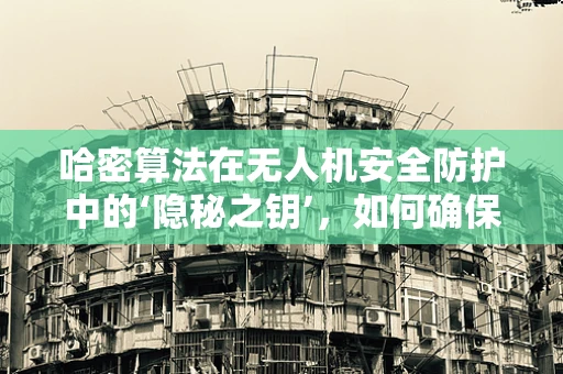 哈密算法在无人机安全防护中的‘隐秘之钥’，如何确保数据传输的不可篡改性？