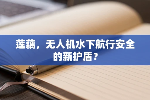 莲藕，无人机水下航行安全的新护盾？