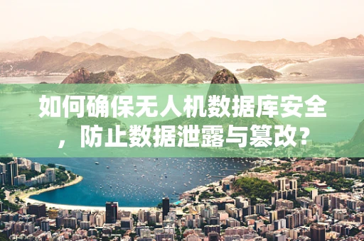 如何确保无人机数据库安全，防止数据泄露与篡改？