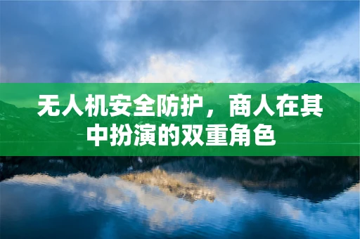 无人机安全防护，商人在其中扮演的双重角色
