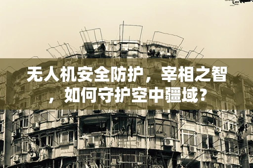 无人机安全防护，宰相之智，如何守护空中疆域？