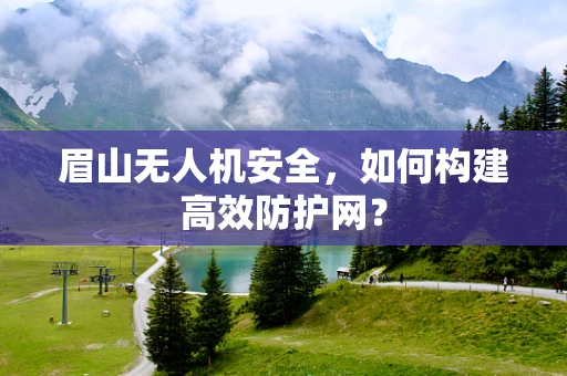 眉山无人机安全，如何构建高效防护网？
