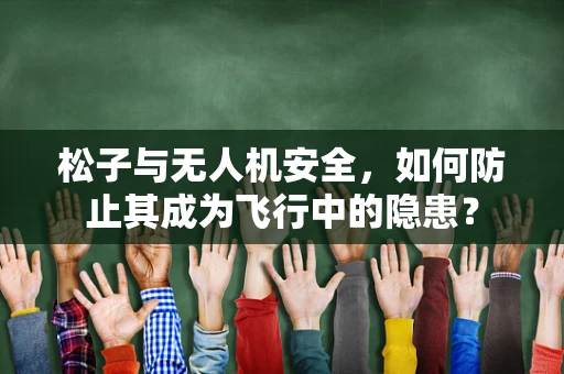 松子与无人机安全，如何防止其成为飞行中的隐患？