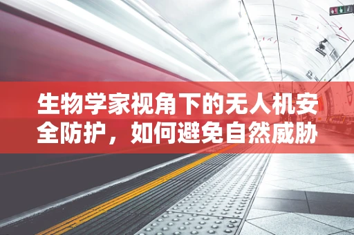 生物学家视角下的无人机安全防护，如何避免自然威胁？
