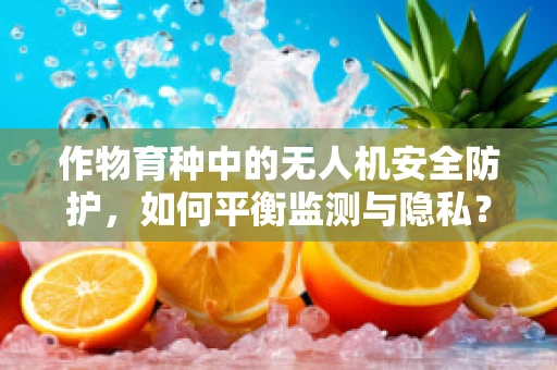 作物育种中的无人机安全防护，如何平衡监测与隐私？