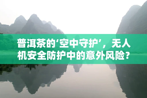 普洱茶的‘空中守护’，无人机安全防护中的意外风险？