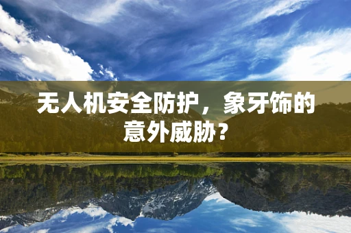 无人机安全防护，象牙饰的意外威胁？