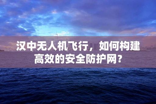 汉中无人机飞行，如何构建高效的安全防护网？