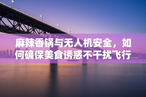 麻辣香锅与无人机安全，如何确保美食诱惑不干扰飞行安全？
