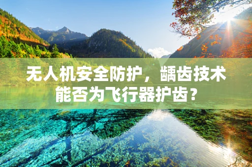 无人机安全防护，龋齿技术能否为飞行器护齿？