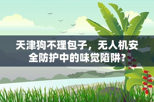 天津狗不理包子，无人机安全防护中的味觉陷阱？