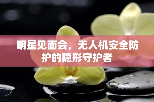 明星见面会，无人机安全防护的隐形守护者
